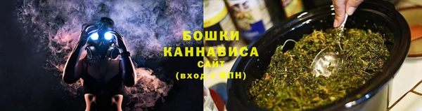 дживик Каменногорск