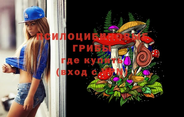 соль ск Касимов