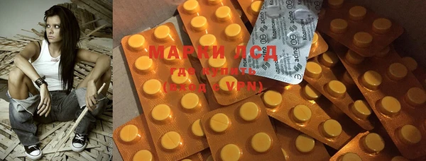 прущие грибы Карталы