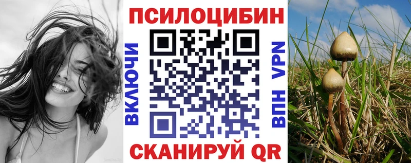 Купить где  Выборг  Псилоцибиновые грибы мухоморы 